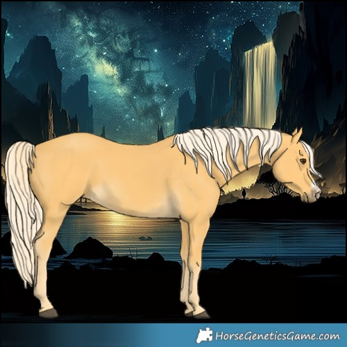 Horse Color:Palomino Sabino 