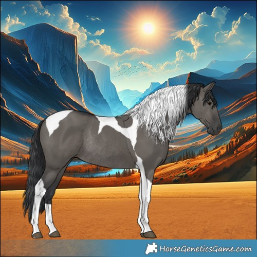 Horse Color:Grullo Tobiano Rabicano