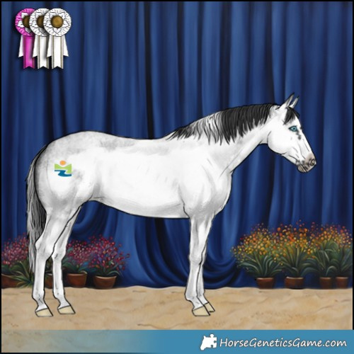 Horse Color:White Spotted Blue Roan Splash Frame 