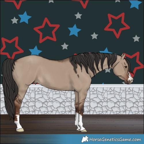 Horse Color:Liver Red Dun 