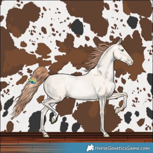 Horse Color:Amber Cream Champagne Pearl Dun Tobiano Rabicano 