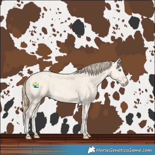 Horse Color:Perlino Dun Rabicano 