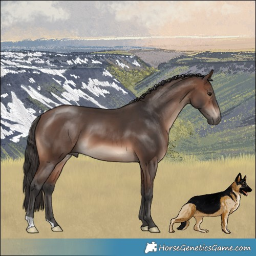 Horse Color:Brown Mushroom 