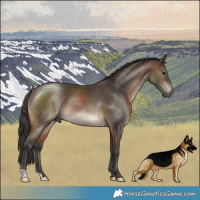 Horse Color:Brown Mushroom 