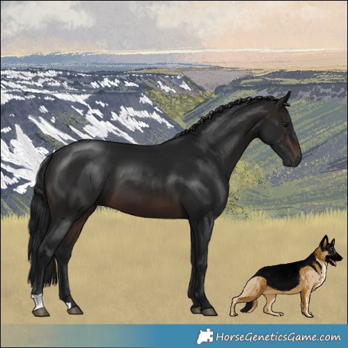 Horse Color:Gray Brown Mushroom 