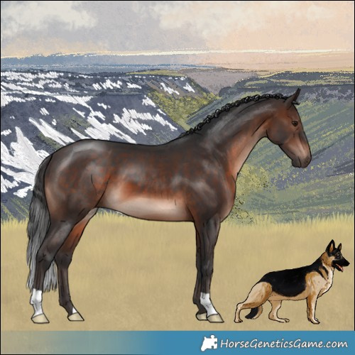 Horse Color:Brown Mushroom 