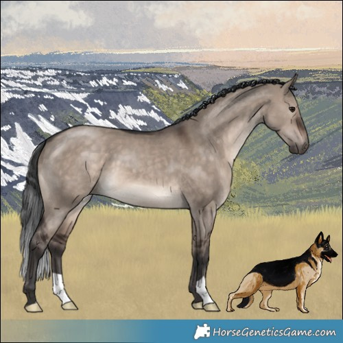 Horse Color:Brown Dun Mushroom