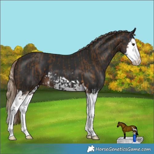 Horse Color:Chocolate Palomino Splash and Liver Chestnut Splash
