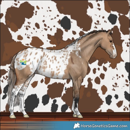 Horse Color:Bay Dun Skewed LP Spotted 
