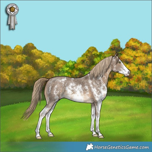 Horse Color:Chocolate Palomino Sabino