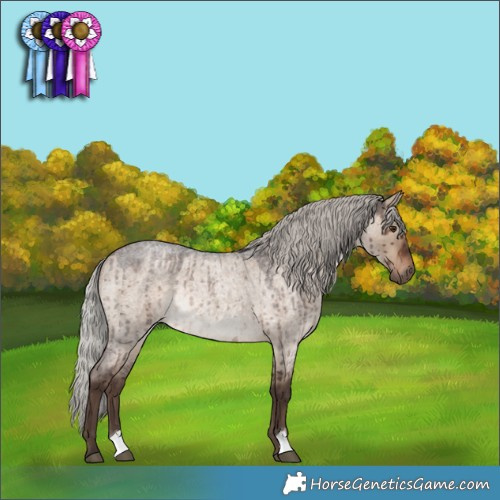 Horse Color:Silver Brown Roan Dun Rabicano Brindle
