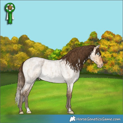 Horse Color:Gray Perlino Roan Dun Rabicano Brindle 