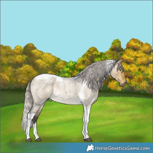 Horse Color:Silver Buckskin Roan Dun Tobiano 