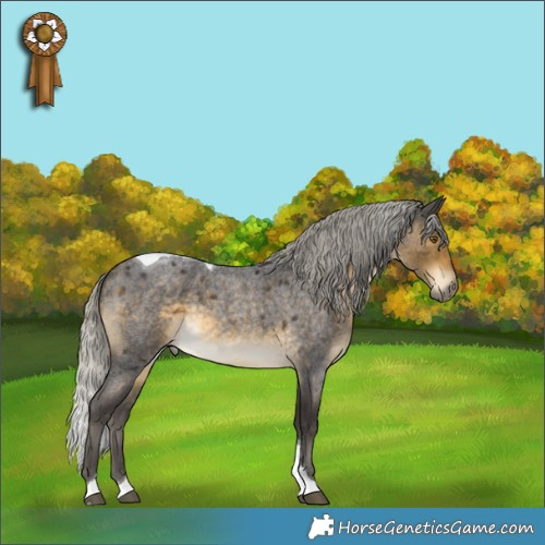 Horse Color:Silver Buckskin Roan Tobiano Rabicano 