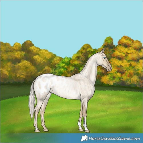 Horse Color:Silver Smoky Grullo Roan Snowdrop Appaloosa Brindle 