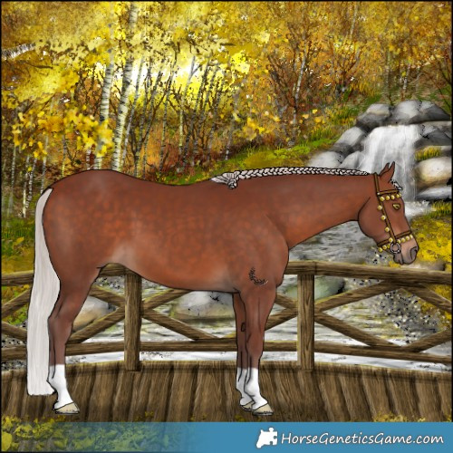 Horse Color:Chocolate Silver Bay 