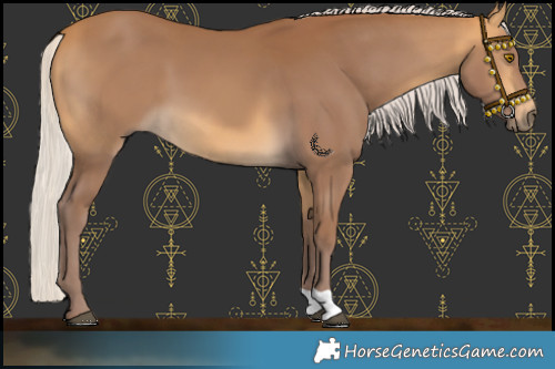 Horse Color:Chocolate Silver Buckskin