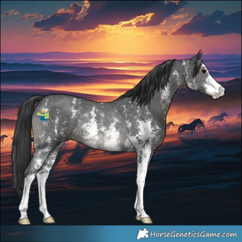 Horse Color:Black Sabino Rabicano 