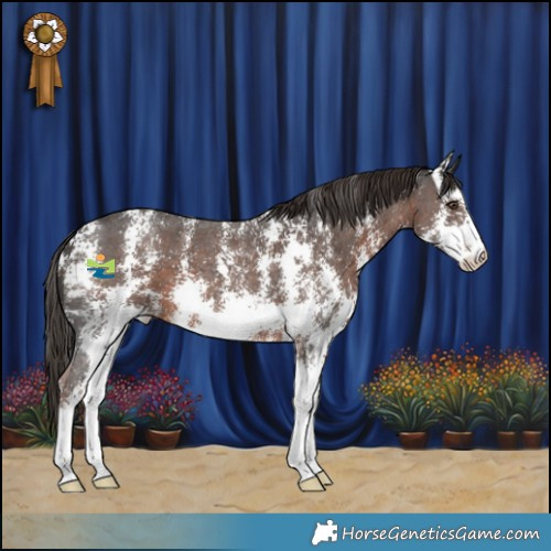 Horse Color:Liver Chestnut Sabino