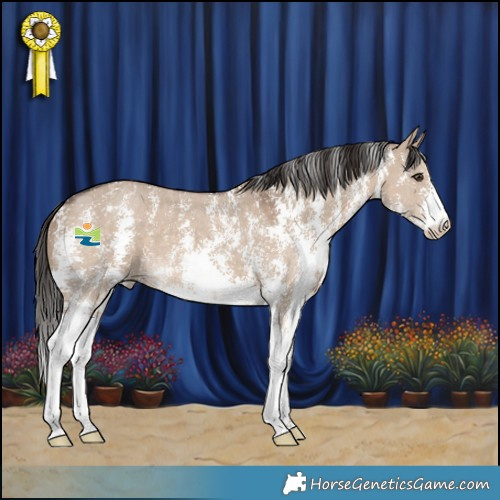 Horse Color:Liver Red Dun Sabino