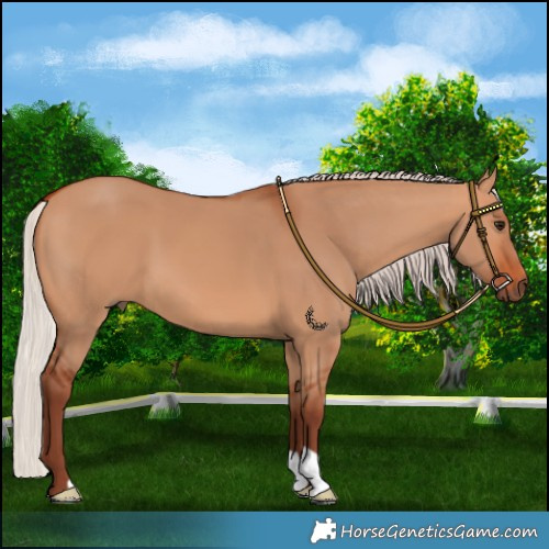 Horse Color:Chocolate Silver Bay Dun
