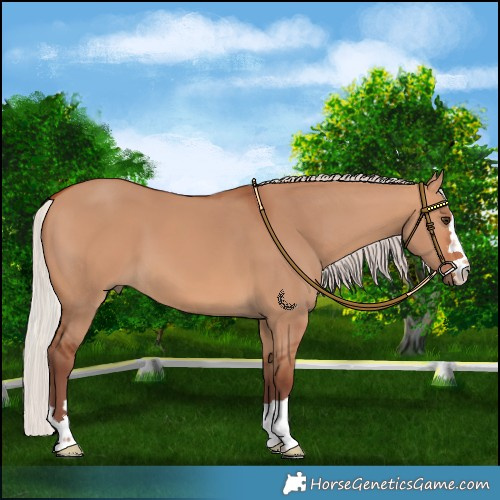 Horse Color:Chocolate Silver Bay Dun
