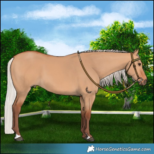 Horse Color:Chocolate Silver Bay Dun