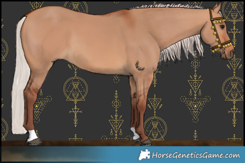 Horse Color:Chocolate Silver Bay Dun