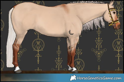 Horse Color:Chocolate Silver Bay Dun 