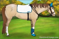 Horse Color:White Spotted Bay Pearl Dun