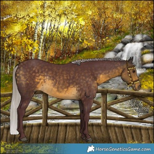 Horse Color:Chocolate Silver Buckskin Rabicano