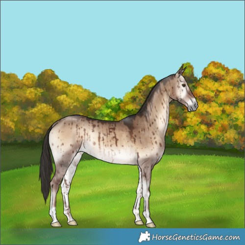 Horse Color:Liver Red Dun Onyx Rabicano Brindle