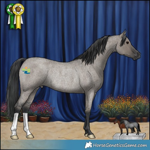 Horse Color:Grullo Roan Rabicano 