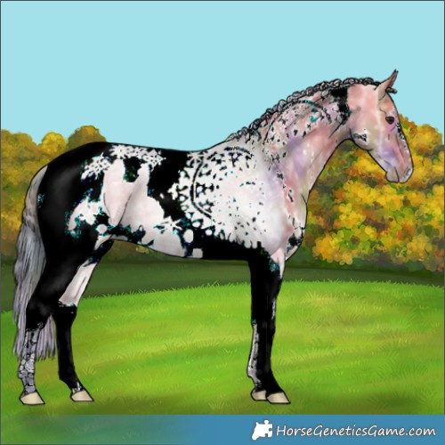 Horse Color:Nacre White Spotted Bay Ice Dun Tobiano