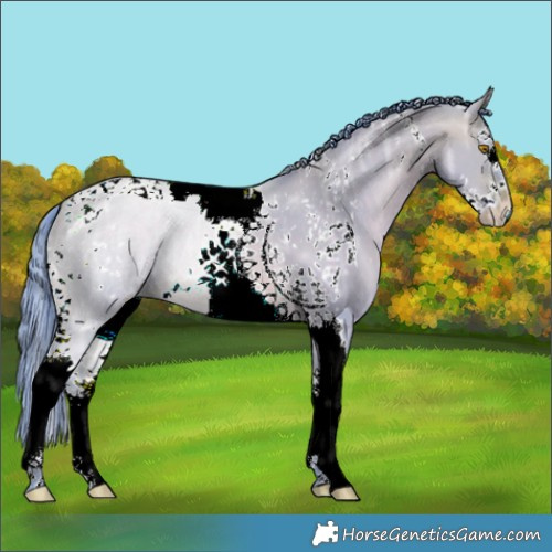 Horse Color:Watercolor White Spotted Brown Ice Pearl Dun Splash Tobiano 