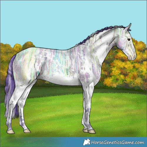 Horse Color:Watercolor White Spotted Buckskin Ice Dun Splash 