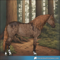 Horse Color:Liver Red Dun Rabicano Brindle