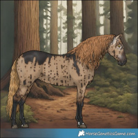 Horse Color:Gray Liver Red Dun Brindle