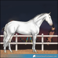 Horse Color:Gray Silver Amber Cream Champagne Roan Dun Splash Tobiano Frame Blanket Rabicano 