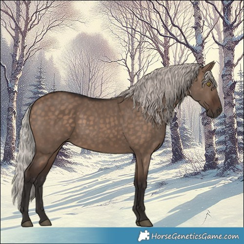 Horse Color:Silver Brown Dun 