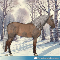 Horse Color:Silver Brown Dun  and Silver Brown Dun 