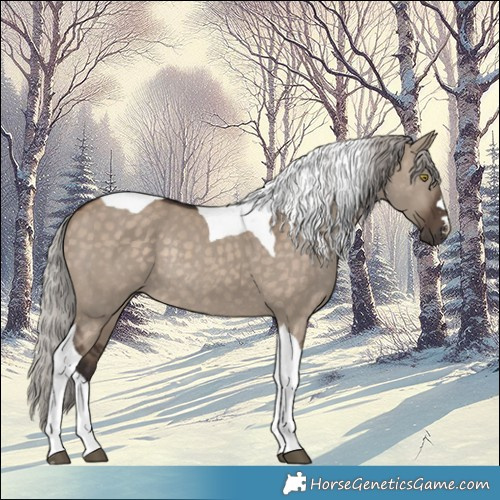 Horse Color:Silver Brown Dun Tobiano Rabicano 