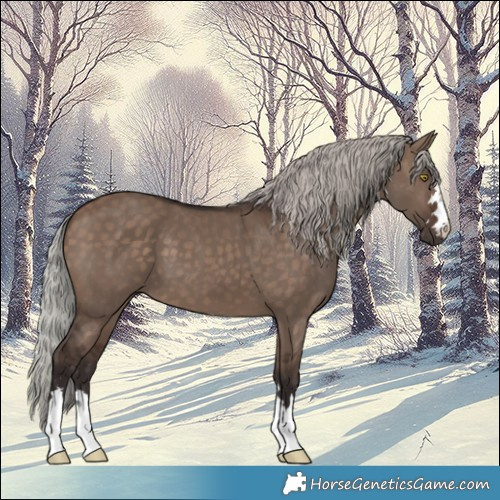 Horse Color:Silver Brown Dun 