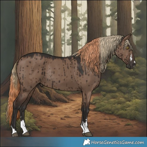 Horse Color:Liver Red Dun Rabicano Brindle  and Liver Red Dun Brindle 