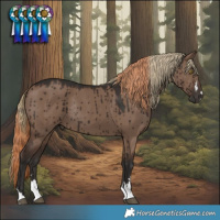 Horse Color:Liver Red Dun Rabicano Brindle  and Liver Red Dun Brindle 