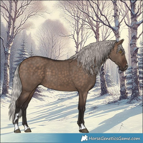 Horse Color:Silver Brown Dun 