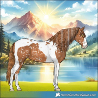Horse Color:Chestnut Tobiano Snowflake Varnish