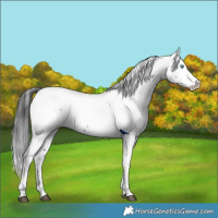 Horse Color:Black Frame 