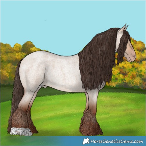 Horse Color:Amber Champagne Roan Dun Rabicano 