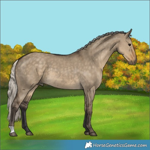 Horse Color:Silver Smoky Grullo 
